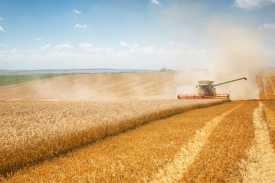 Nebraska Crop Insurance Coverage